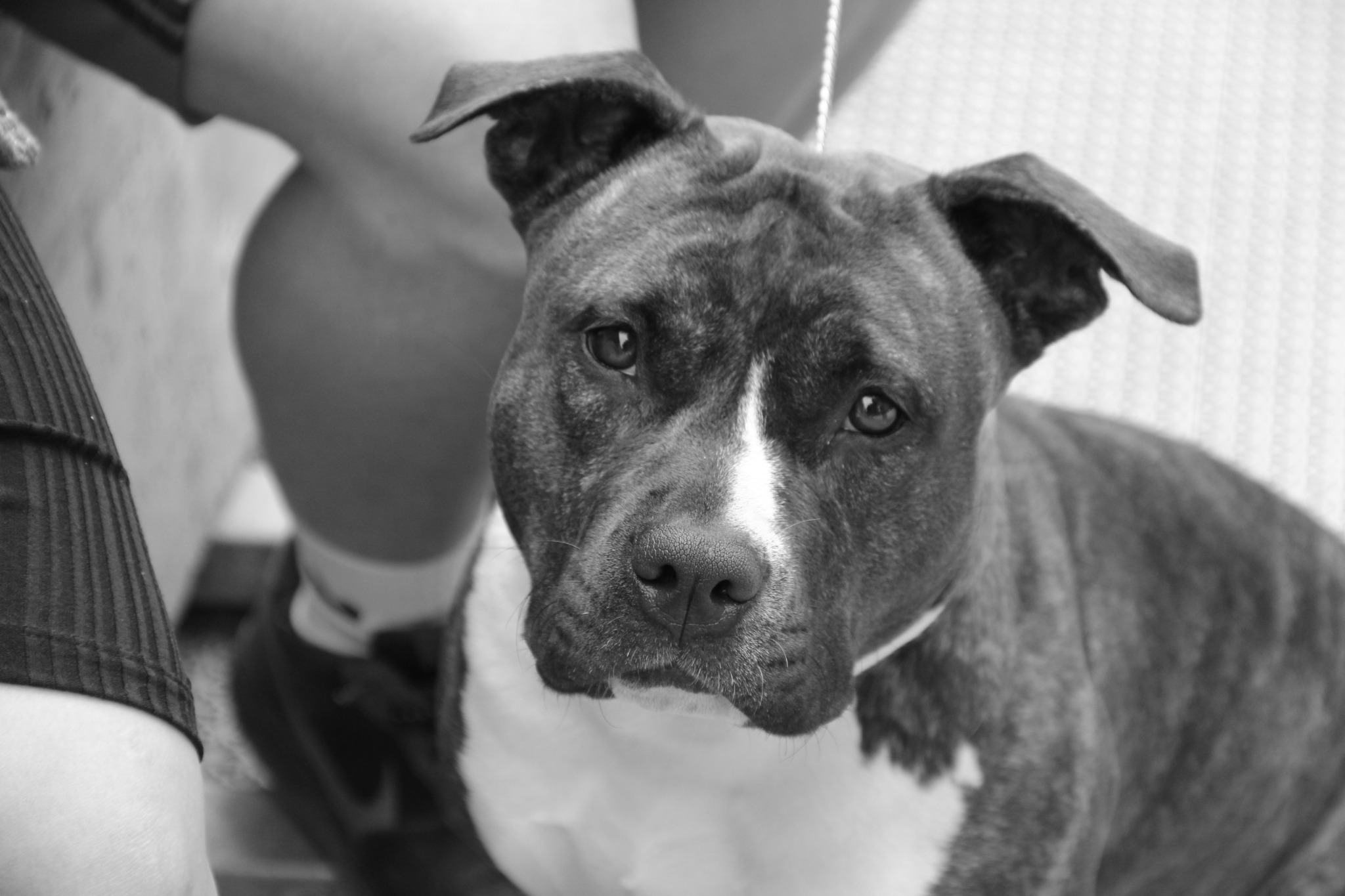 Onea crno-bijeli portret